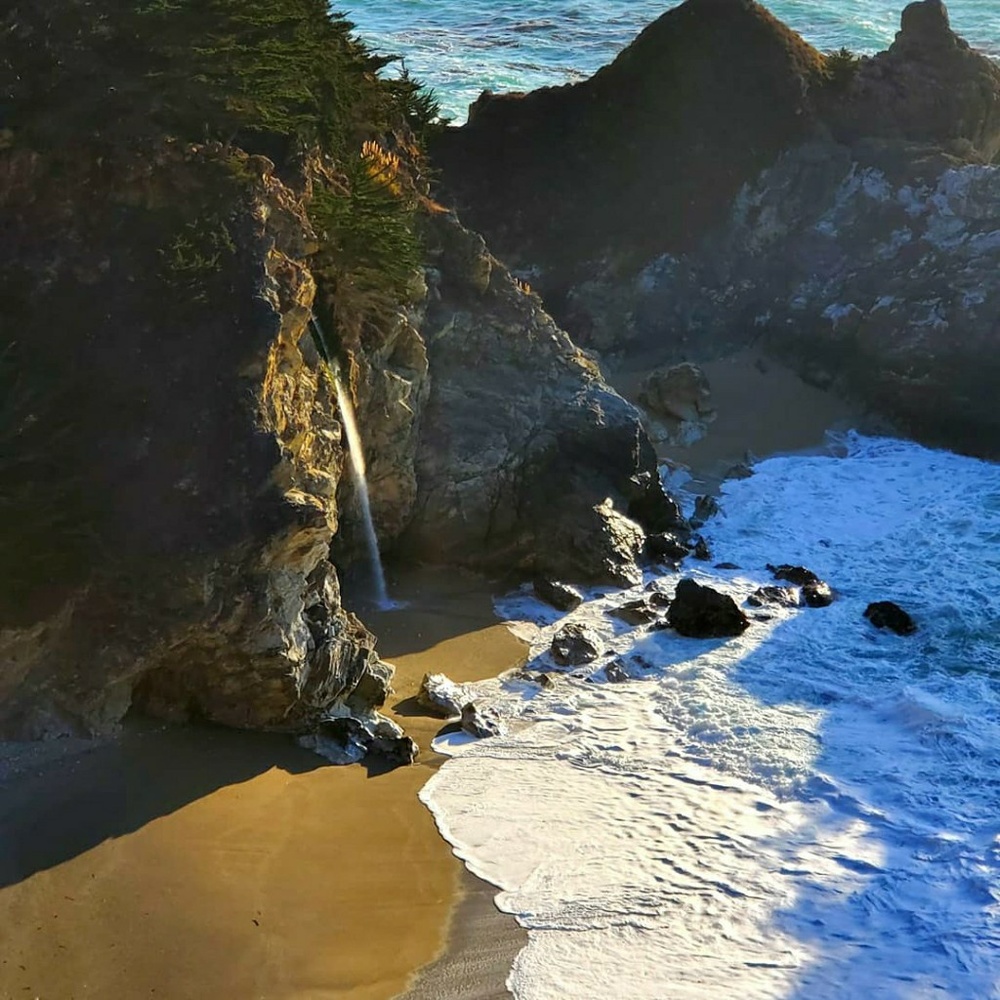 Meet your Posher, Rasheedah